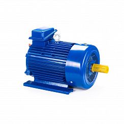 Электродвигатель 5МТКН 225 L8 37/750 IM1003