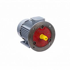 Электродвигатель ESQ PR 225 M4 GST-Б1-S12-IE2 55/1500 IM2001