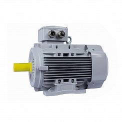Электродвигатель ESQ PR 100 LA2-SDN-Б1-S12-IE3 3/3000 IMB3