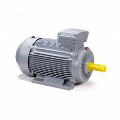 Электродвигатель ESQ PR 100 LA2-SDN-Б1-S12-IE2 3/3000 IMB3