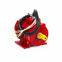 Электродвигатель ESQ 15,4-FR-400C-2hR 15/1500 IM1081