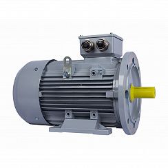 Электродвигатель ESQ PR 100 LA2-SDN-Б1-S12-IE3 3/3000 IMB35