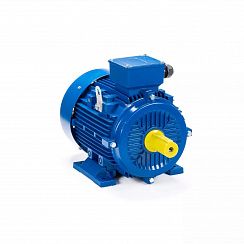 Электродвигатель АИР 100 L4 4/1500 IM1081