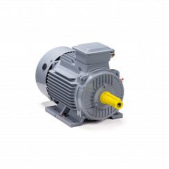 Электродвигатель ESQ PR 100 L6 GST-Б1-S12-IE2 2,2/1000 IM1081