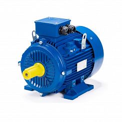 Эл.двигатель ESQ 100 L2-GST-HT-H 5.5/3000 IM 1081