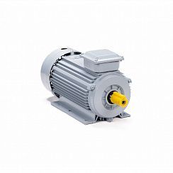Электродвигатель ESQ PR 90 L4 GST-Б1-S12-IE2 2,2/1500 IM1081