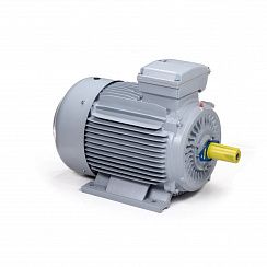 Электродвигатель ESQ PR 250 M6-SDN-Б1-S12-IE2 37/1000 IMB3