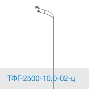 ТФГ-2500-10,0-02-ц