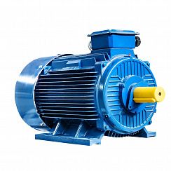 Электродвигатель 5АИ 355 MLD4 500/1500 IM1001