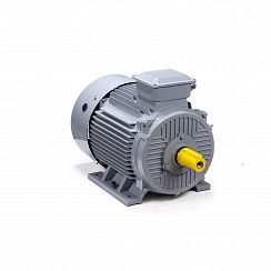 Электродвигатель ESQ PR 250 M2 GST-Б1-S12-IE2 90/3000 IM1001